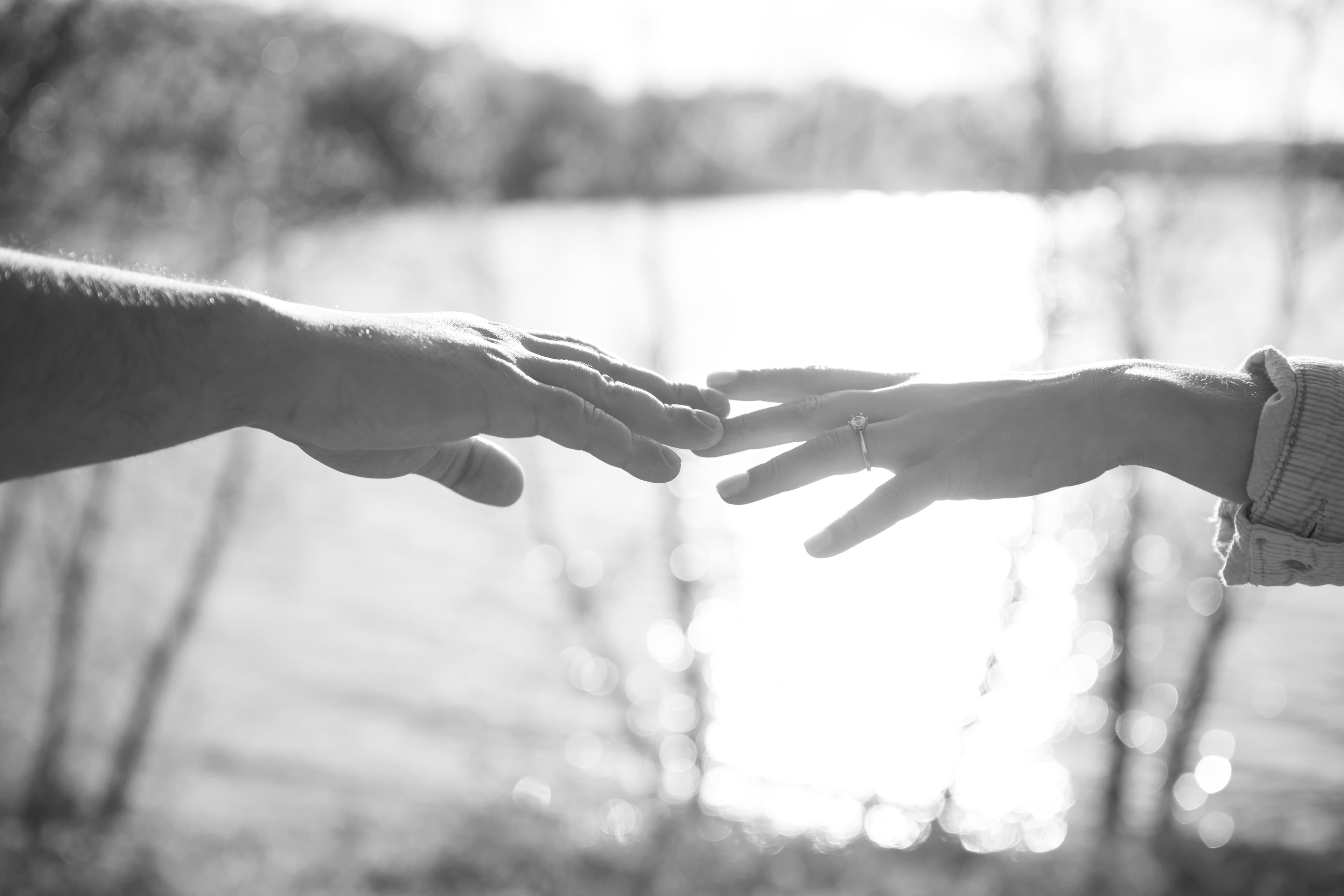 Sophie and Joe — photo 16
