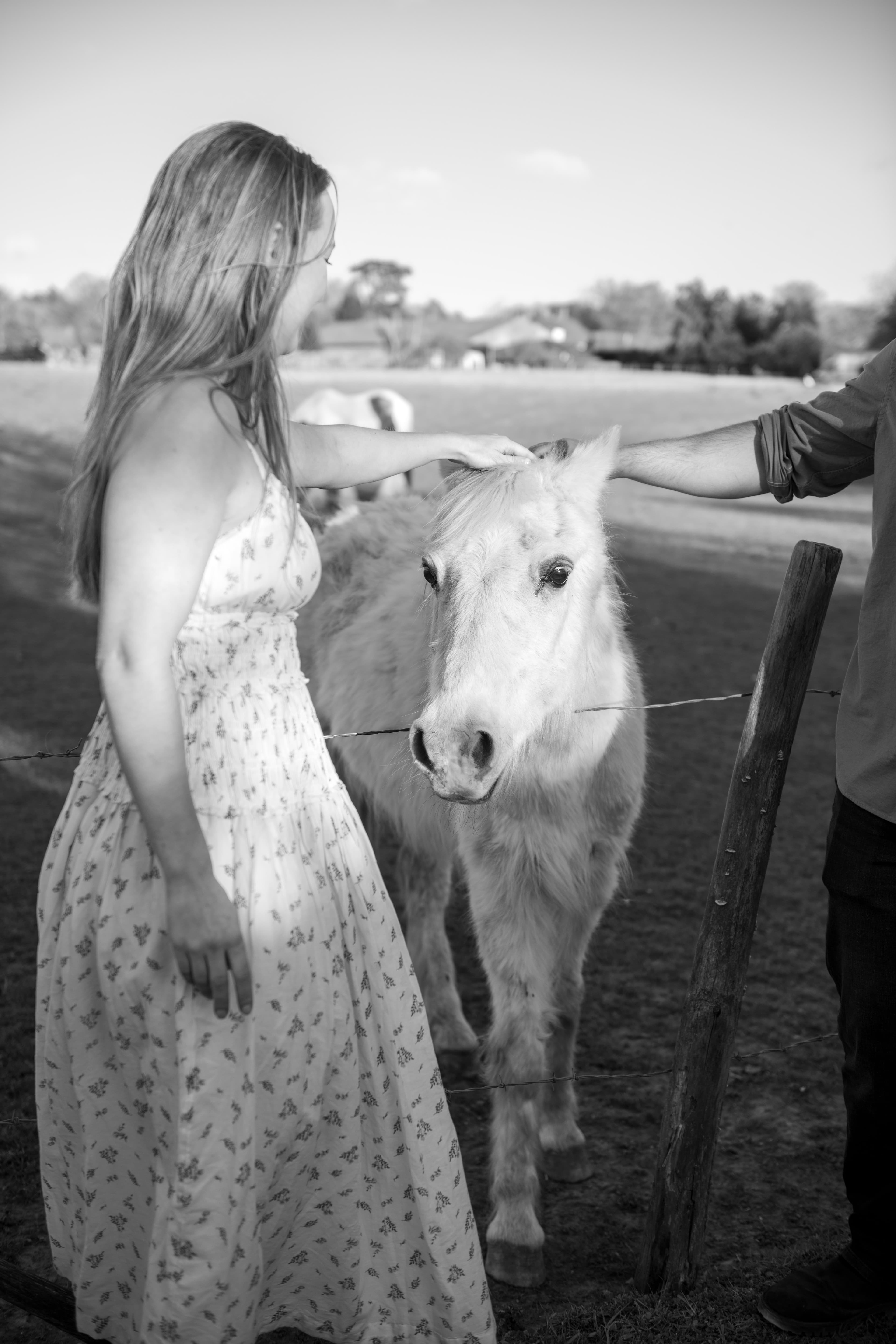 Engagement photo 134