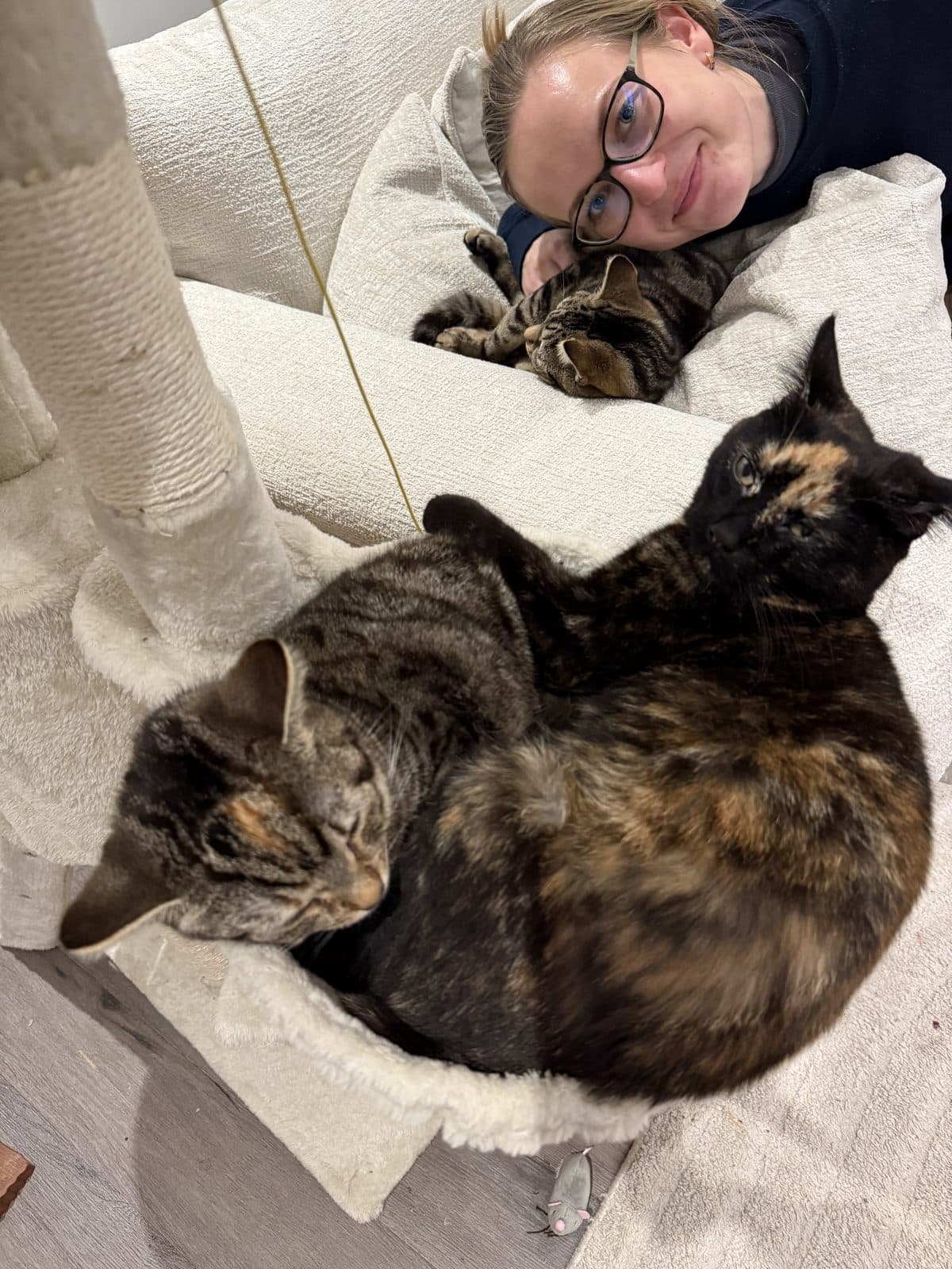 The Fur Babies Arrive, photo 4
